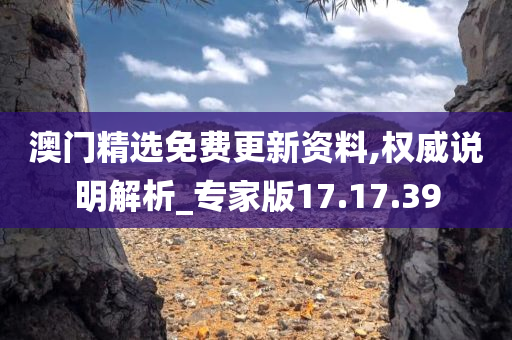 澳门精选免费更新资料,权威说明解析_专家版17.17.39