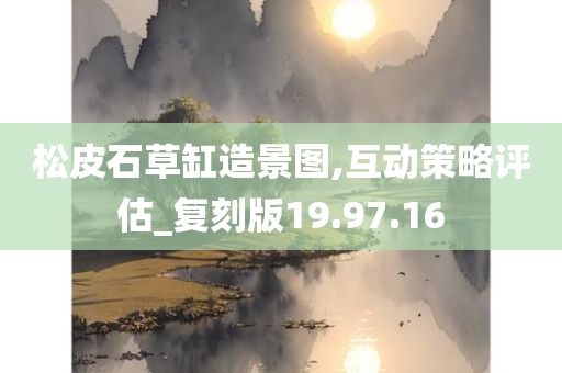 松皮石草缸造景图,互动策略评估_复刻版19.97.16