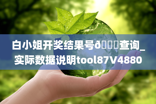 白小姐开奖结果号🐎查询_实际数据说明tool87V4880