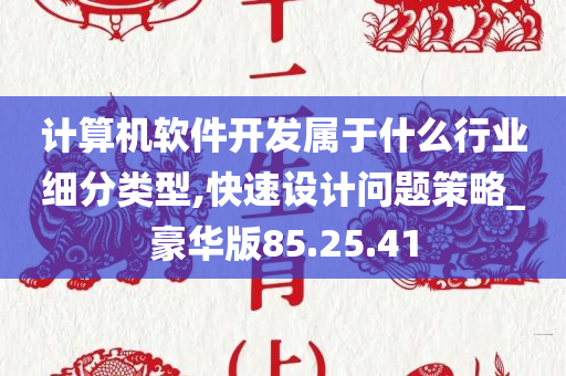 计算机软件开发属于什么行业细分类型,快速设计问题策略_豪华版85.25.41