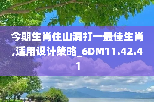 今期生肖住山洞打一最佳生肖,适用设计策略_6DM11.42.41