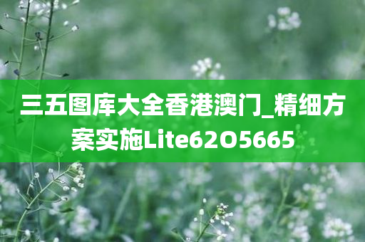 三五图库大全香港澳门_精细方案实施Lite62O5665