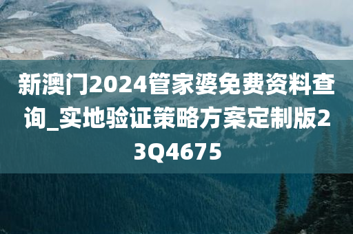 新澳门2024管家婆免费资料查询_实地验证策略方案定制版23Q4675