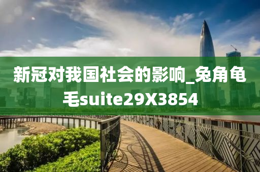 新冠对我国社会的影响_兔角龟毛suite29X3854