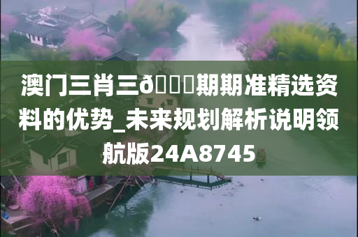 澳门三肖三🐎期期准精选资料的优势_未来规划解析说明领航版24A8745