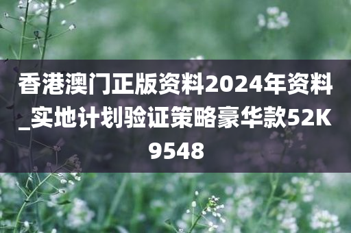 香港澳门正版资料2024年资料_实地计划验证策略豪华款52K9548