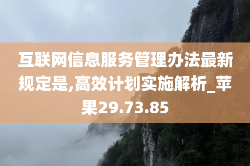 互联网信息服务管理办法最新规定是,高效计划实施解析_苹果29.73.85