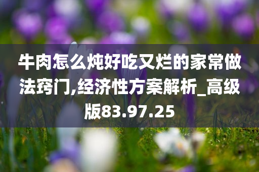 牛肉怎么炖好吃又烂的家常做法窍门,经济性方案解析_高级版83.97.25