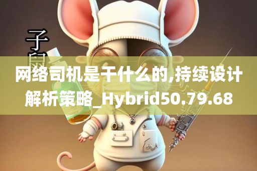 网络司机是干什么的,持续设计解析策略_Hybrid50.79.68