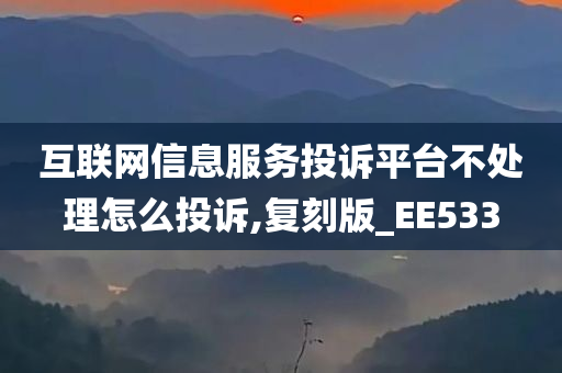 互联网信息服务投诉平台不处理怎么投诉,复刻版_EE533