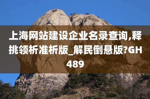 上海网站建设企业名录查询,释挑领析准析版_解民倒悬版?GH489