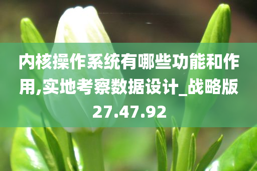 内核操作系统有哪些功能和作用,实地考察数据设计_战略版27.47.92