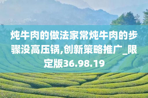 炖牛肉的做法家常炖牛肉的步骤没高压锅,创新策略推广_限定版36.98.19