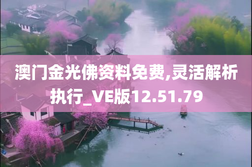 澳门金光佛资料免费,灵活解析执行_VE版12.51.79