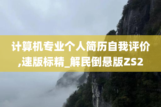 计算机专业个人简历自我评价,速版标精_解民倒悬版ZS2