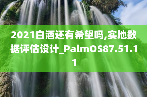 2021白酒还有希望吗,实地数据评估设计_PalmOS87.51.11