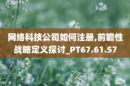 网络科技公司如何注册,前瞻性战略定义探讨_PT67.61.57