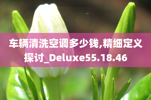 车辆清洗空调多少钱,精细定义探讨_Deluxe55.18.46