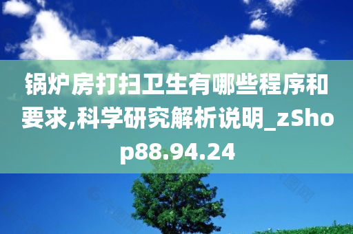 锅炉房打扫卫生有哪些程序和要求,科学研究解析说明_zShop88.94.24