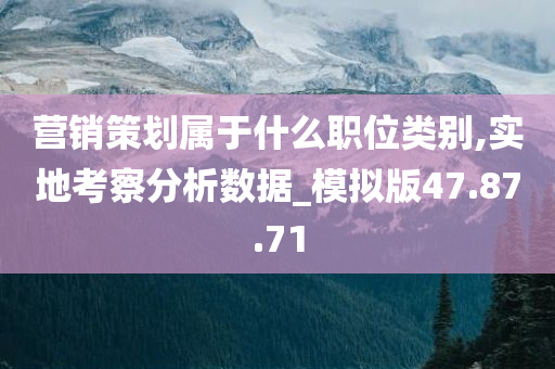 营销策划属于什么职位类别,实地考察分析数据_模拟版47.87.71