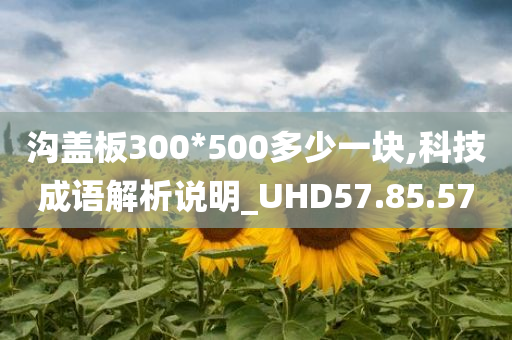 沟盖板300*500多少一块,科技成语解析说明_UHD57.85.57