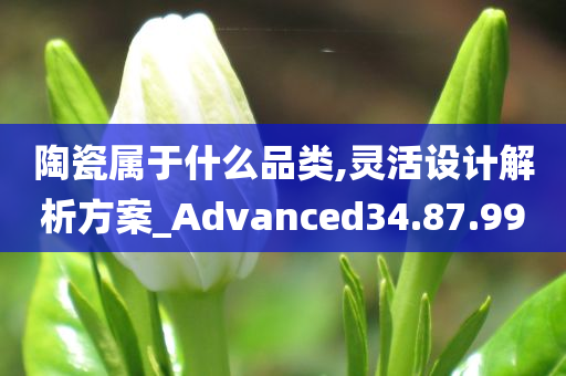 陶瓷属于什么品类,灵活设计解析方案_Advanced34.87.99