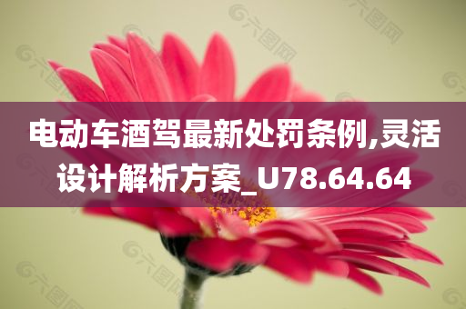 电动车酒驾最新处罚条例,灵活设计解析方案_U78.64.64