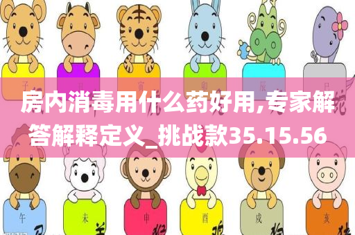 房内消毒用什么药好用,专家解答解释定义_挑战款35.15.56