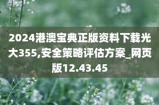 2024港澳宝典正版资料下载光大355,安全策略评估方案_网页版12.43.45