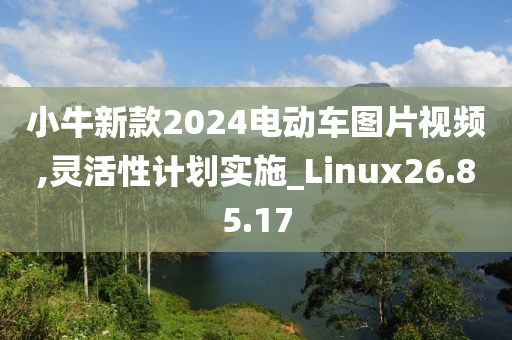 小牛新款2024电动车图片视频,灵活性计划实施_Linux26.85.17