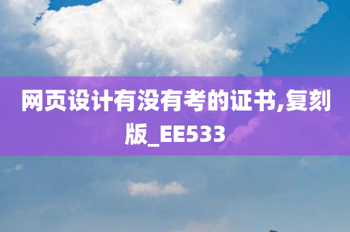 网页设计有没有考的证书,复刻版_EE533