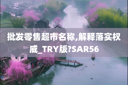 批发零售超市名称,解释落实权威_TRY版?SAR56