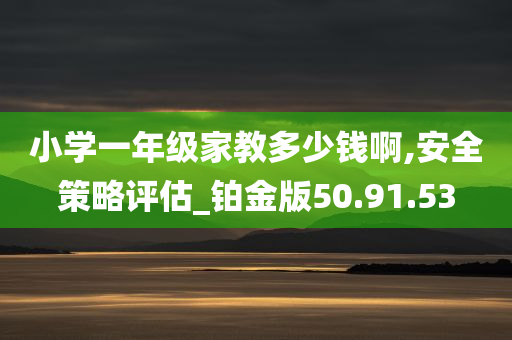 小学一年级家教多少钱啊,安全策略评估_铂金版50.91.53