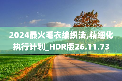 2024最火毛衣编织法,精细化执行计划_HDR版26.11.73