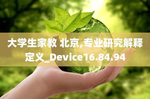 大学生家教 北京,专业研究解释定义_Device16.84.94