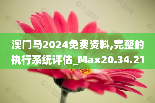 澳门马2024免费资料,完整的执行系统评估_Max20.34.21