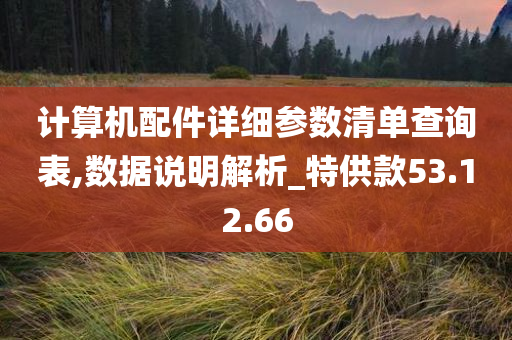 计算机配件详细参数清单查询表,数据说明解析_特供款53.12.66