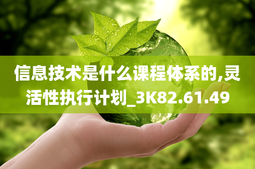 信息技术是什么课程体系的,灵活性执行计划_3K82.61.49