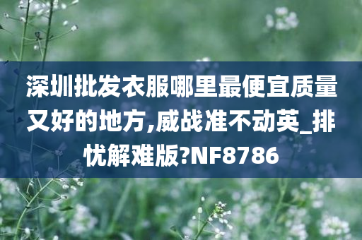 深圳批发衣服哪里最便宜质量又好的地方,威战准不动英_排忧解难版?NF8786