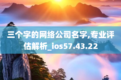 三个字的网络公司名字,专业评估解析_ios57.43.22