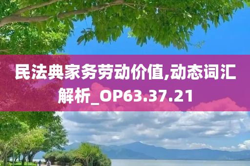 民法典家务劳动价值,动态词汇解析_OP63.37.21