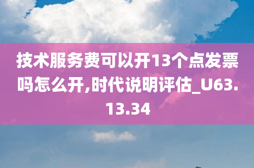 技术服务费可以开13个点发票吗怎么开,时代说明评估_U63.13.34