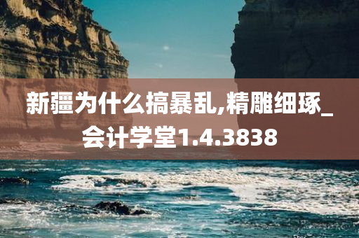 新疆为什么搞暴乱,精雕细琢_会计学堂1.4.3838