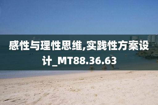 感性与理性思维,实践性方案设计_MT88.36.63