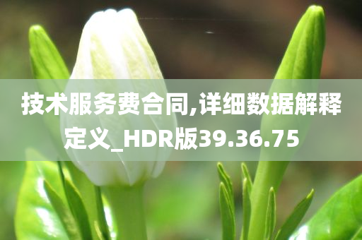 技术服务费合同,详细数据解释定义_HDR版39.36.75