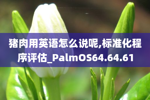 猪肉用英语怎么说呢,标准化程序评估_PalmOS64.64.61