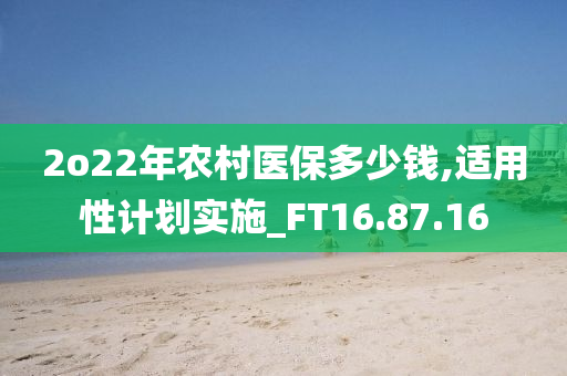 2o22年农村医保多少钱,适用性计划实施_FT16.87.16