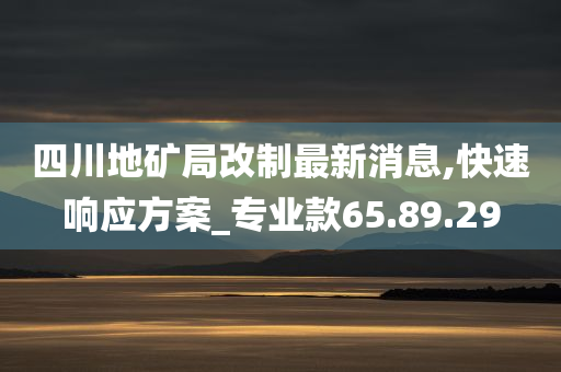 四川地矿局改制最新消息,快速响应方案_专业款65.89.29