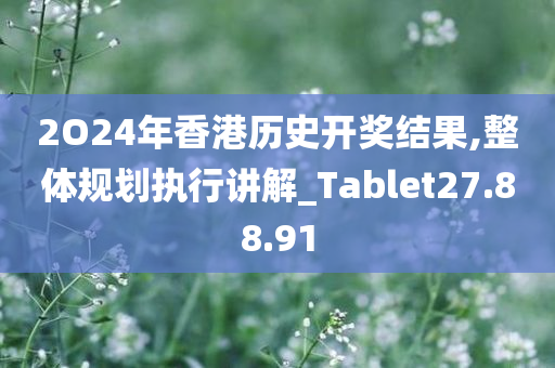 2O24年香港历史开奖结果,整体规划执行讲解_Tablet27.88.91