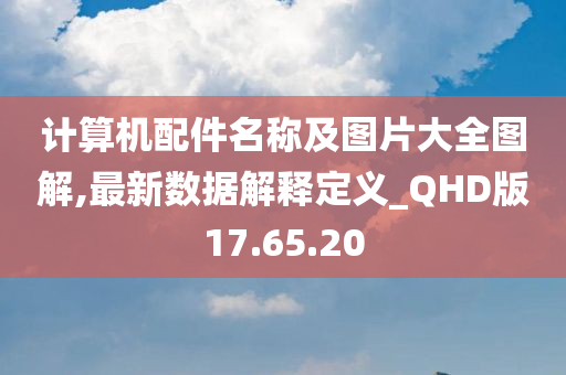 计算机配件名称及图片大全图解,最新数据解释定义_QHD版17.65.20